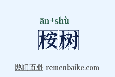 桉树是什么意思的图片